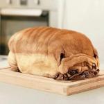 Dog Bread