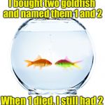 Practical pet names | I bought two goldfish and named them 1 and 2; When 1 died, I still had 2 | image tagged in fishbowl,memes,names | made w/ Imgflip meme maker