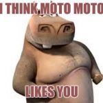 moto moto | I THINK MOTO MOTO; LIKES YOU | image tagged in moto moto | made w/ Imgflip meme maker
