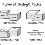 Types of Faults | Making minimum wage after the age of 18 | image tagged in types of faults | made w/ Imgflip meme maker