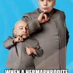 Mini me | WHEN A HERMAPHRODITE IS TOLD "GO F*** YOURSELF." | image tagged in mini me | made w/ Imgflip meme maker