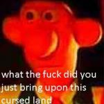 What the fuck did you just bring upon this cursed land