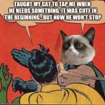 cat slap fever | TAUGHT MY CAT TO TAP ME WHEN HE NEEDS SOMETHING. IT WAS CUTE IN THE BEGINNING...BUT NOW HE WON'T STOP | image tagged in grumpy cat slapping robin,grumpy cat,meme,cat | made w/ Imgflip meme maker