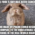 Rabbit | APRIL FOOL'S DAY HAS BEEN CANCELLED; CheekyWitch.com; NO MADE UP PRANK COULD BEGIN TO COMPARE TO THE UNBELIEVABLE CRAP HAPPENING IN THE REAL WORLD RIGHT NOW | image tagged in rabbit | made w/ Imgflip meme maker