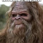 Sasquatch pranks | THAT LOOK BEFORE YOU SCARE SOME HIKER INTO A BOWEL MOVEMENT | image tagged in sasquatch,pranks,stay out of my woods,dark humor | made w/ Imgflip meme maker