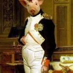 Napoleon Pig