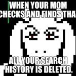 Undertale - Toriel | WHEN YOUR MOM CHECKS AND FINDS THAT; ALL YOUR SEARCH HISTORY IS DELETED. | image tagged in undertale - toriel | made w/ Imgflip meme maker