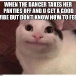 Polite Cat | WHEN THE DANCER TAKES HER PANTIES OFF AND U GET A GOOD VIBE BUT DON’T KNOW HOW TO FEEL | image tagged in polite cat | made w/ Imgflip meme maker