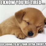 cute doggie | I KNOW YOU'RE TIRED ... BUT KEEP GOING TO GET YOUR EXTRA CREDIT POINT | image tagged in cute doggie | made w/ Imgflip meme maker