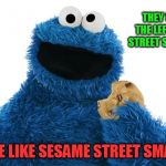 Internet Security Sesame Street | THEY SAY THE LEFT HAS STREET SMARTS; MORE LIKE SESAME STREET SMARTS | image tagged in internet security sesame street | made w/ Imgflip meme maker