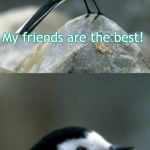 Clinically Depressed Pied Wagtail | My friends are the best! because they're imaginary | image tagged in clinically depressed pied wagtail | made w/ Imgflip meme maker