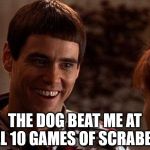 Dumb And Dumber | THE DOG BEAT ME AT ALL 10 GAMES OF SCRABBLE | image tagged in dumb and dumber | made w/ Imgflip meme maker