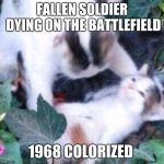 vietnam cats | FALLEN SOLDIER DYING ON THE BATTLEFIELD; 1968 COLORIZED | image tagged in vietnam cats | made w/ Imgflip meme maker