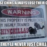 Not cool chinchillas | THESE CHINS ALWAYS LOSE THEIR COOL; THEY'LL NEVER JUST CHILL | image tagged in chinchilla ninjas | made w/ Imgflip meme maker