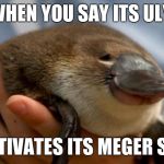 Happy Platypus | WHEN YOU SAY ITS ULY; IT ACTIVATES ITS MEGER SMILE | image tagged in happy platypus | made w/ Imgflip meme maker