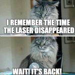 cat interview blank | I REMEMBER THE TIME THE LASER DISAPPEARED; WAIT! IT'S BACK! | image tagged in cat interview blank | made w/ Imgflip meme maker