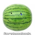 Watermelonely... :,( | I'm watermelonely. | image tagged in watermelon,memes,watermelonely,lonely | made w/ Imgflip meme maker