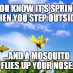 Spring | YOU KNOW IT'S SPRING WHEN YOU STEP OUTSIDE... ...AND A MOSQUITO FLIES UP YOUR NOSE. | image tagged in spring | made w/ Imgflip meme maker