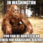 lordcheese and stdney's crazy laws week | IN WASHINGTON; YOU CAN BE ARRESTED OR FINED FOR HARASSING BIGFOOT | image tagged in bigfoot,crazy laws,still on the books,leave bigfoot alone | made w/ Imgflip meme maker