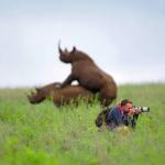 Rhinoceros and photographer