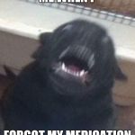 hyper as dicks pup | ME WHEN I; FORGOT MY MEDICATION | image tagged in hyper as dicks pup | made w/ Imgflip meme maker