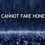 Raw Truth | YOU CANNOT FAKE HONESTY. | image tagged in truth,honesty,fraud,deception,for real | made w/ Imgflip meme maker