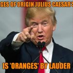 Orange Julius Has It's Origins In Oranges | THE ORANGES OF ORIGIN JULIUS CAESAR'S MAKEUP; IS 'ORANGES' BY LAUDER | image tagged in donald trump birthday,donald trump,oranges | made w/ Imgflip meme maker