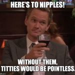 true story | HERE'S TO NIPPLES! WITHOUT THEM, TITTIES WOULD BE POINTLESS. | image tagged in true story | made w/ Imgflip meme maker