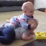 Babies Fighting