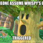 Breaking News:local tree gets triggered | DID SOMEONE ASSUME WHISPY'S GENDER? TRIGGERED | image tagged in whispy woods screaming,triggered,kirby,memes | made w/ Imgflip meme maker