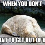 Tired Bear | WHEN YOU DON'T; WANT TO GET OUT OF BED | image tagged in tired bear | made w/ Imgflip meme maker