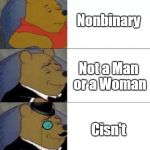 Fancy Winnie the Pooh | Nonbinary; Not a Man or a Woman; Cisn't | image tagged in fancy winnie the pooh | made w/ Imgflip meme maker