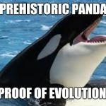 orca | PREHISTORIC PANDA; PROOF OF EVOLUTION | image tagged in orca | made w/ Imgflip meme maker