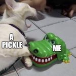 Cat and Alligator | A PICKLE; ME | image tagged in cat and alligator | made w/ Imgflip meme maker