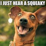 Happy dog | DID I JUST HEAR A SQUEAKY TOY | image tagged in happy dog | made w/ Imgflip meme maker