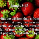 Strawberries | James 3:17; But the wisdom that is from above is first pure, then peaceable, gentle, and easy to be intreated, full of mercy and good fruits, without partiality, and without hypocrisy. | image tagged in strawberries | made w/ Imgflip meme maker