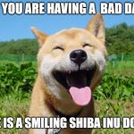 Smiling shiba | IF YOU ARE HAVING A  BAD DAY; HERE IS A SMILING SHIBA INU DOGGO | image tagged in smiling shiba | made w/ Imgflip meme maker