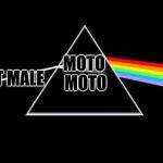 Pink Floyd Banner 01 | MOTO MOTO; I A STRIGHT MALE | image tagged in pink floyd banner 01 | made w/ Imgflip meme maker
