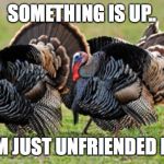 Turkey | SOMETHING IS UP.. TOM JUST UNFRIENDED ME.. | image tagged in turkey | made w/ Imgflip meme maker