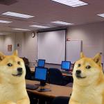 Doges in middle school computer lab meme
