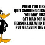 quitting is tough | WHEN YOU FIRST QUIT SMOKING CIGARETTES YOU MAY JUST GET MAD FOR NO REASON,LIKE WHO THE HELL PUT GRASS IN THE YARD? | image tagged in daffy speaking,funny | made w/ Imgflip meme maker