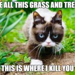 Grumpy Cat in a Jungle! | SEE ALL THIS GRASS AND TREES; THIS IS WHERE I KILL YOU | image tagged in grumpy cat in a jungle | made w/ Imgflip meme maker