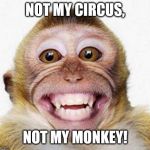 Monkey Smile | NOT MY CIRCUS, NOT MY MONKEY! | image tagged in monkey smile | made w/ Imgflip meme maker
