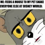Usettled Tom 2.0 | ME: FEEDS A MOUSE TO MY PET SNAKE; EVERYONE ELSE AT DISNEY WORLD: | image tagged in usettled tom 20 | made w/ Imgflip meme maker