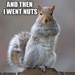 squirrel of judgement | AND THEN I WENT NUTS | image tagged in squirrel of judgement | made w/ Imgflip meme maker