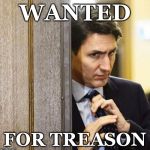 Trudeau Straitens his Tie | WANTED; FOR TREASON | image tagged in trudeau straitens his tie | made w/ Imgflip meme maker