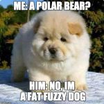 fat fuzzy | ME: A POLAR BEAR? HIM: NO, IM A FAT FUZZY DOG | image tagged in fat fuzzy | made w/ Imgflip meme maker