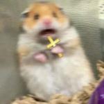 Scared Hamster with Cross
