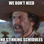 El Guapo | WE DON’T NEED; NO STINKING SCHEDULES | image tagged in el guapo | made w/ Imgflip meme maker