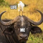 Life.... | LIFE; ME | image tagged in that's life | made w/ Imgflip meme maker